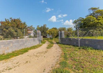 Giardino - Casa indipendente Regione Brunestica
 
S.N.C., Olmedo - foto 15