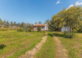 Giardino - Casa indipendente Regione Brunestica
 
S.N.C., Olmedo - foto 16