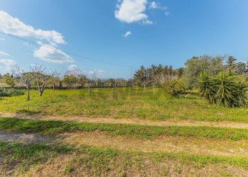 Giardino - Casa indipendente Regione Brunestica
 
S.N.C., Olmedo - foto 17