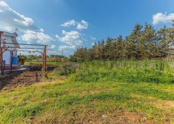 Giardino - Casa indipendente Regione Brunestica
 
S.N.C., Olmedo - foto 23