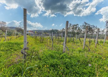 Vista delle montagne - Casa indipendente Regione Brunestica
 
S.N.C., Olmedo - foto 25