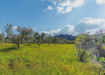 Vista delle montagne - Casa indipendente Regione Brunestica
 
S.N.C., Olmedo - foto 26