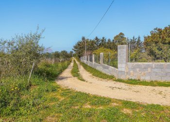 Giardino - Casa indipendente Regione Brunestica
 
S.N.C., Olmedo - foto 30