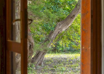 Giardino - Three-room apartment Via Emilio Lussu
1, Stintino - photo 26