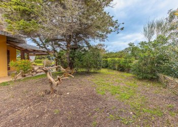 Giardino - Three-room apartment Via Emilio Lussu
1, Stintino - photo 31