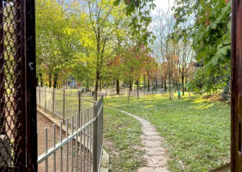 Giardino - Quadrilocale Via Kennedy
 
17, San Donato Milanese - foto 59