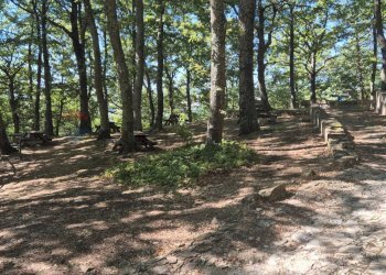 Giardino - Casa semi indipendente Montaguto - foto 13