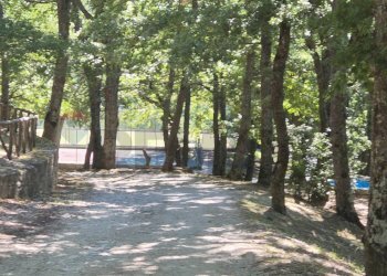 Giardino - Casa semi indipendente Montaguto - foto 15