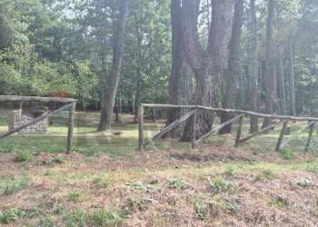 Giardino - Casa semi indipendente Montaguto - foto 17