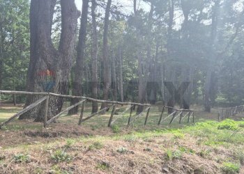 Giardino - Casa semi indipendente Montaguto - foto 18