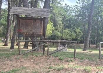 Giardino - Casa semi indipendente Montaguto - foto 19