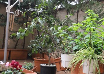 Foto 14 - Quadrilocale V. Paolo Giovio
 
45, Milano - foto 14