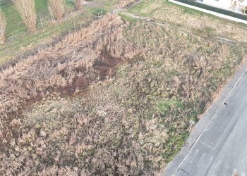Foto 2 - Building land Via Italia, Alfianello - photo 2