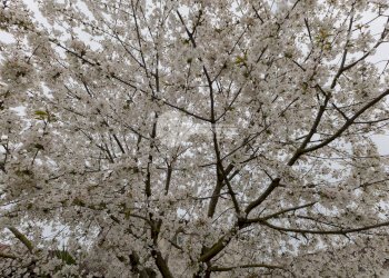 Foto 34 - Casa indipendente VIA ARDIGò
 
1, Casteldidone - foto 34