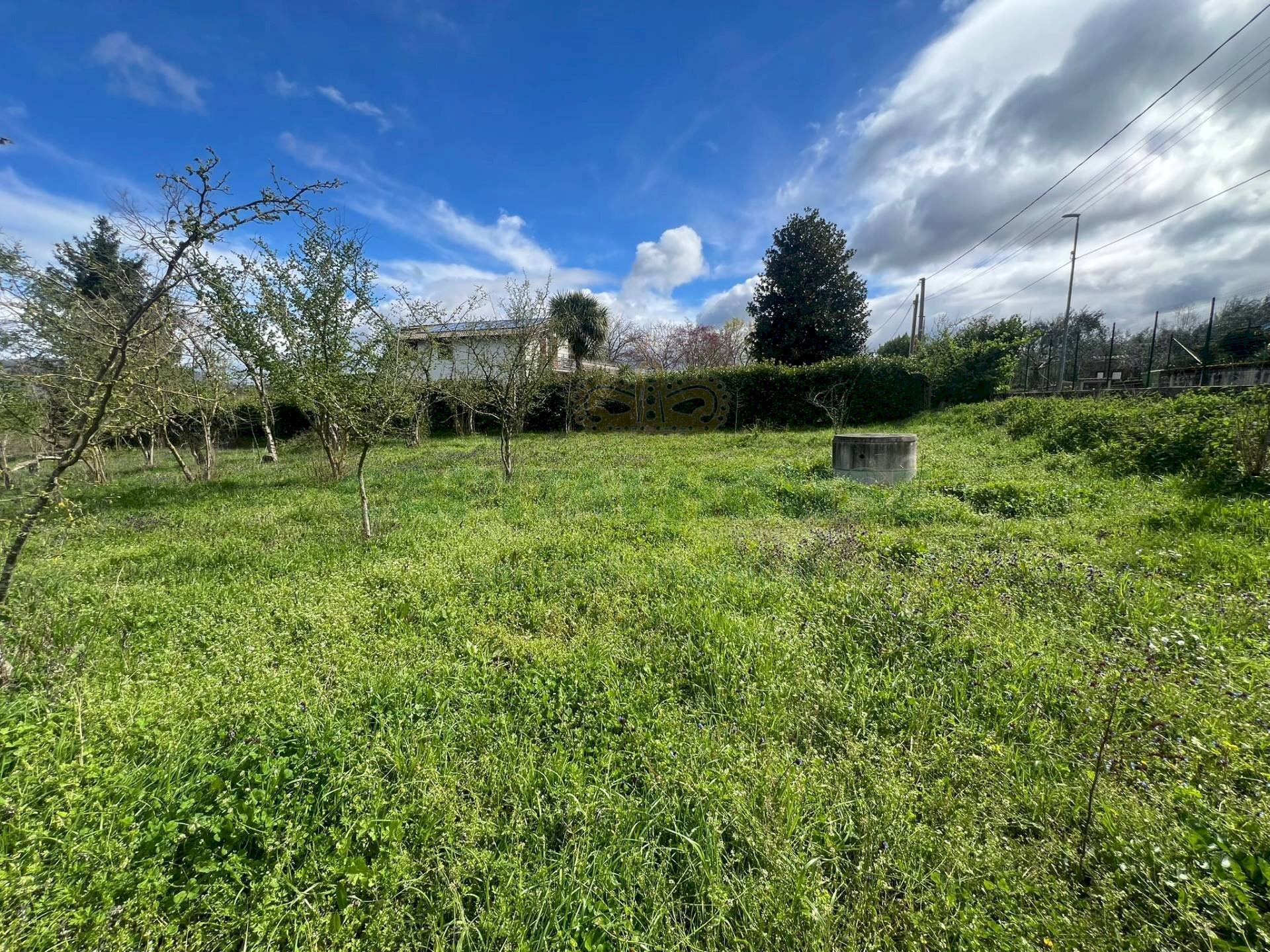 Foto 1 - Terreno agricolo Località Creta Rossa, Prata di Principato Ultra - foto 1