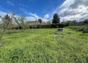 Foto 1 - Terreno agricolo Località Creta Rossa, Prata di Principato Ultra - foto 1