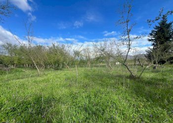 Foto 2 - Terreno agricolo Località Creta Rossa, Prata di Principato Ultra - foto 2