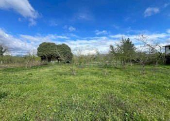 Foto 3 - Terreno agricolo Località Creta Rossa, Prata di Principato Ultra - foto 3