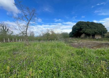 Foto 4 - Terreno agricolo Località Creta Rossa, Prata di Principato Ultra - foto 4