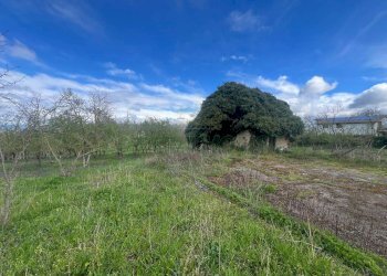 Foto 5 - Terreno agricolo Località Creta Rossa, Prata di Principato Ultra - foto 5