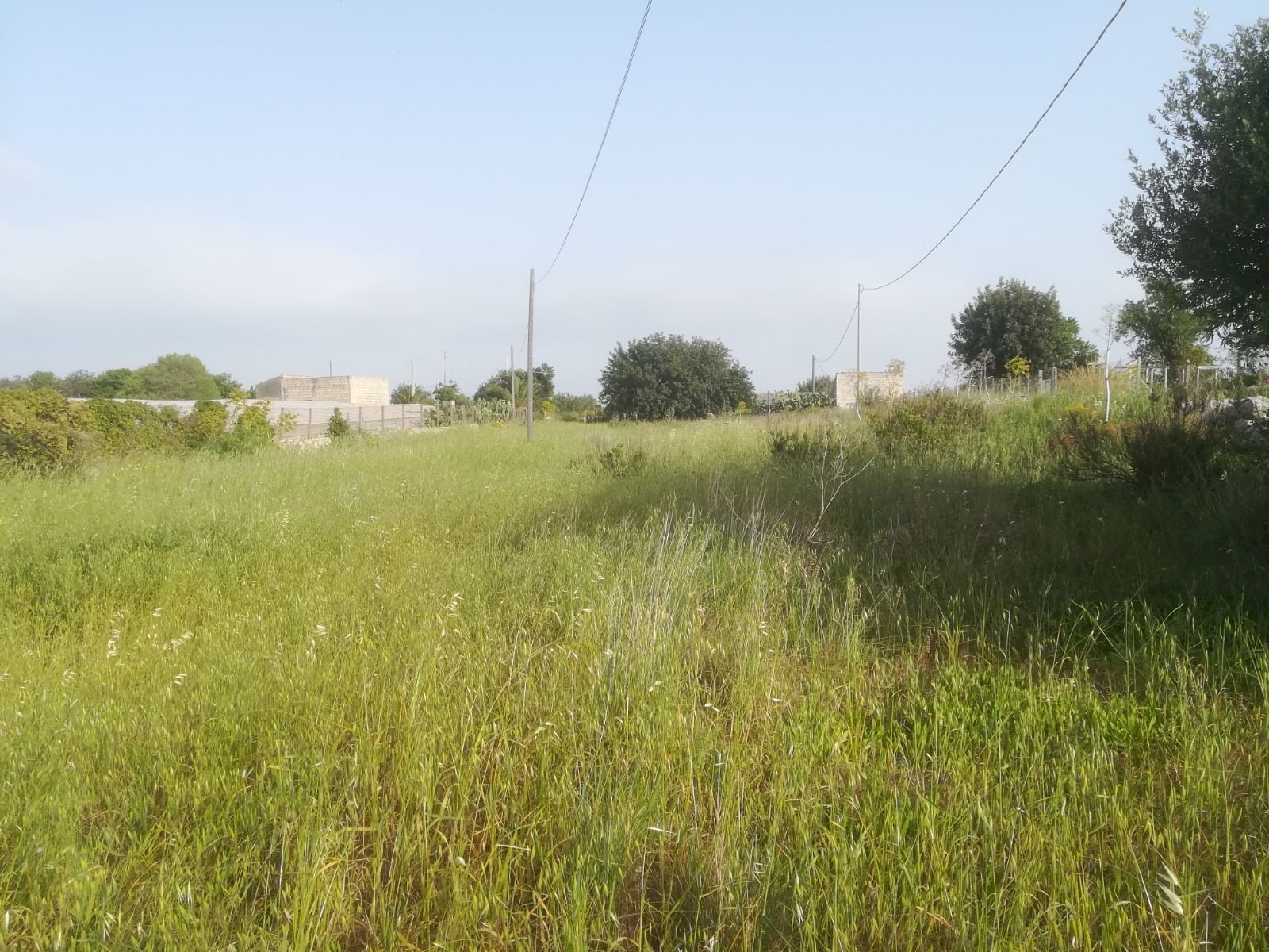 Terreno agricolo FONDO OLIVA, Scicli - foto 1