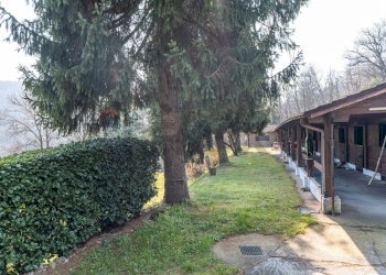 Giardino - Villa Via per Meina
 
11, Nebbiuno - foto 50