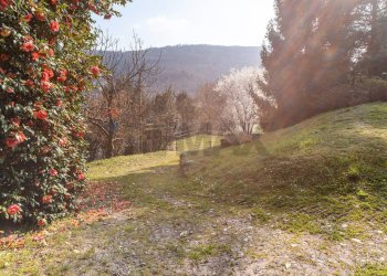 Giardino - Villa Via per Meina
 
11, Nebbiuno - foto 53