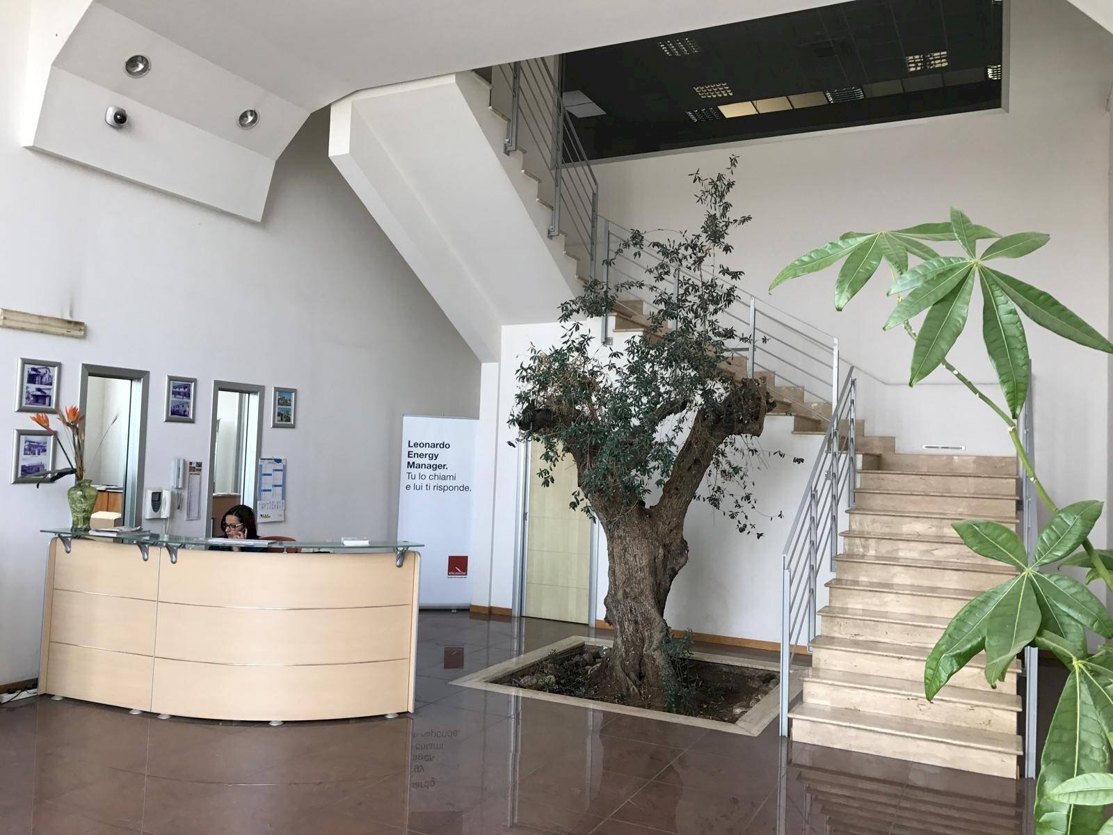 Foto 1 - Capannone Via Prenestina Nuova
 
307/A, Palestrina - foto 1