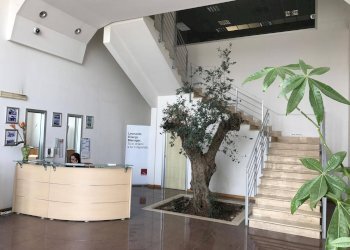 Foto 1 - Capannone Via Prenestina Nuova
307/A, Palestrina - foto 1