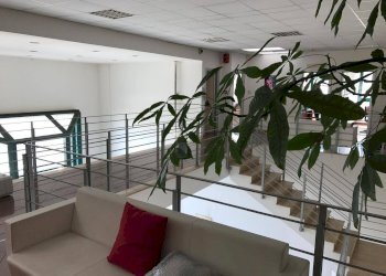 Foto 6 - Capannone Via Prenestina Nuova
307/A, Palestrina - foto 4