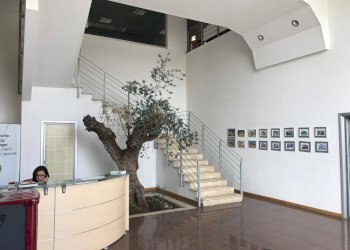 Foto 9 - Capannone Via Prenestina Nuova
307/A, Palestrina - foto 7