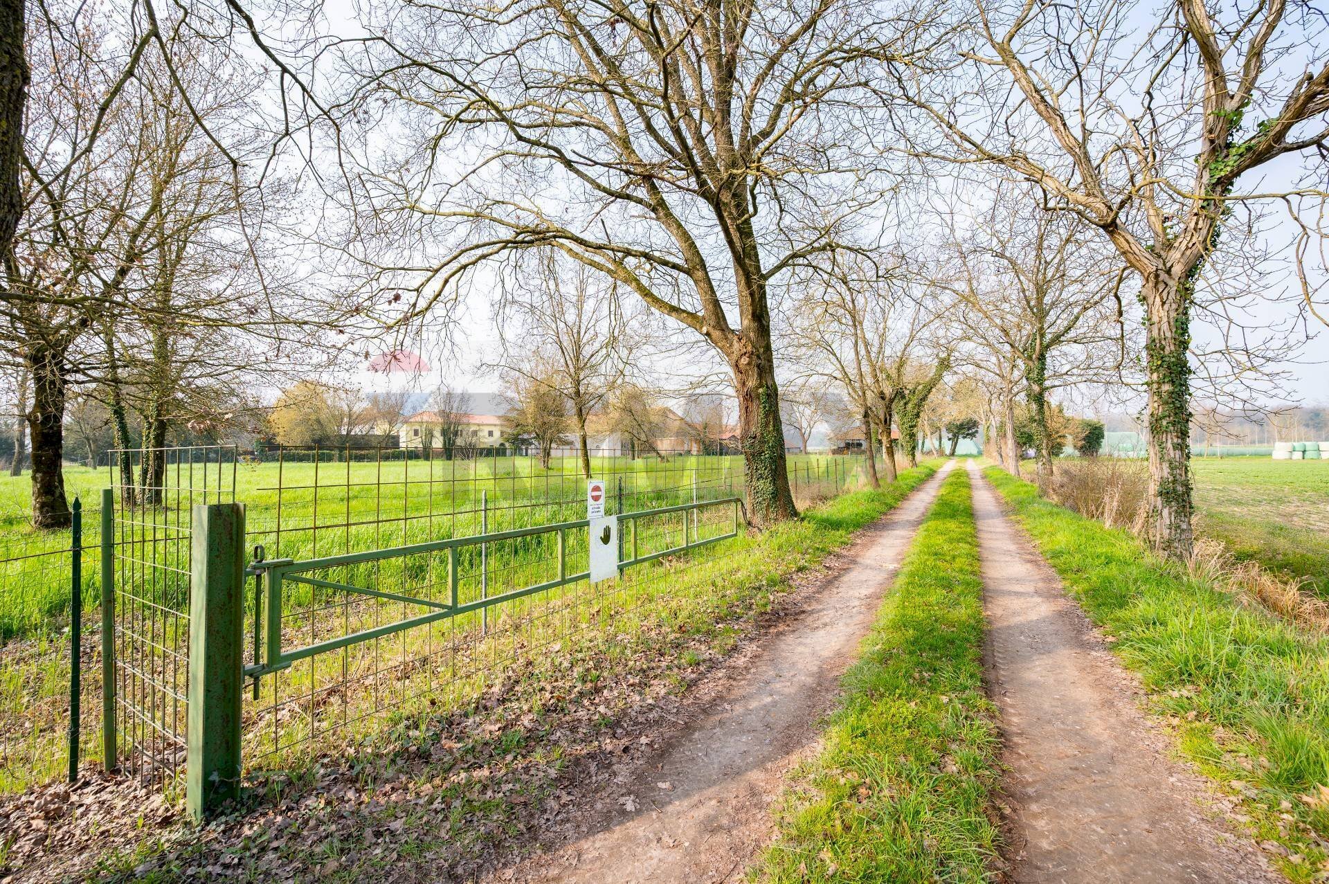 Giardino - Casa semi indipendente Strada Mantova
 
64, Marmirolo - foto 2