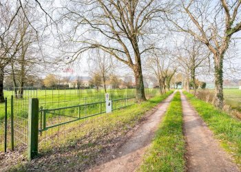 Giardino - Semi-detached house Strada Mantova
 
64, Marmirolo - photo 2