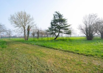 Giardino - Semi-detached house Strada Mantova
 
64, Marmirolo - photo 48
