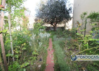 Foto 30 - Casa indipendente Via Dei Novelli, Buti - foto 30