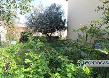 Foto 32 - Casa indipendente Via Dei Novelli, Buti - foto 32