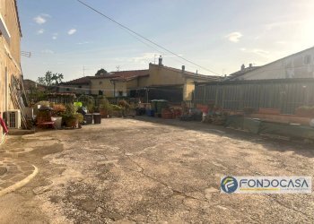 Foto 37 - Casa indipendente Via Dei Novelli, Buti - foto 37