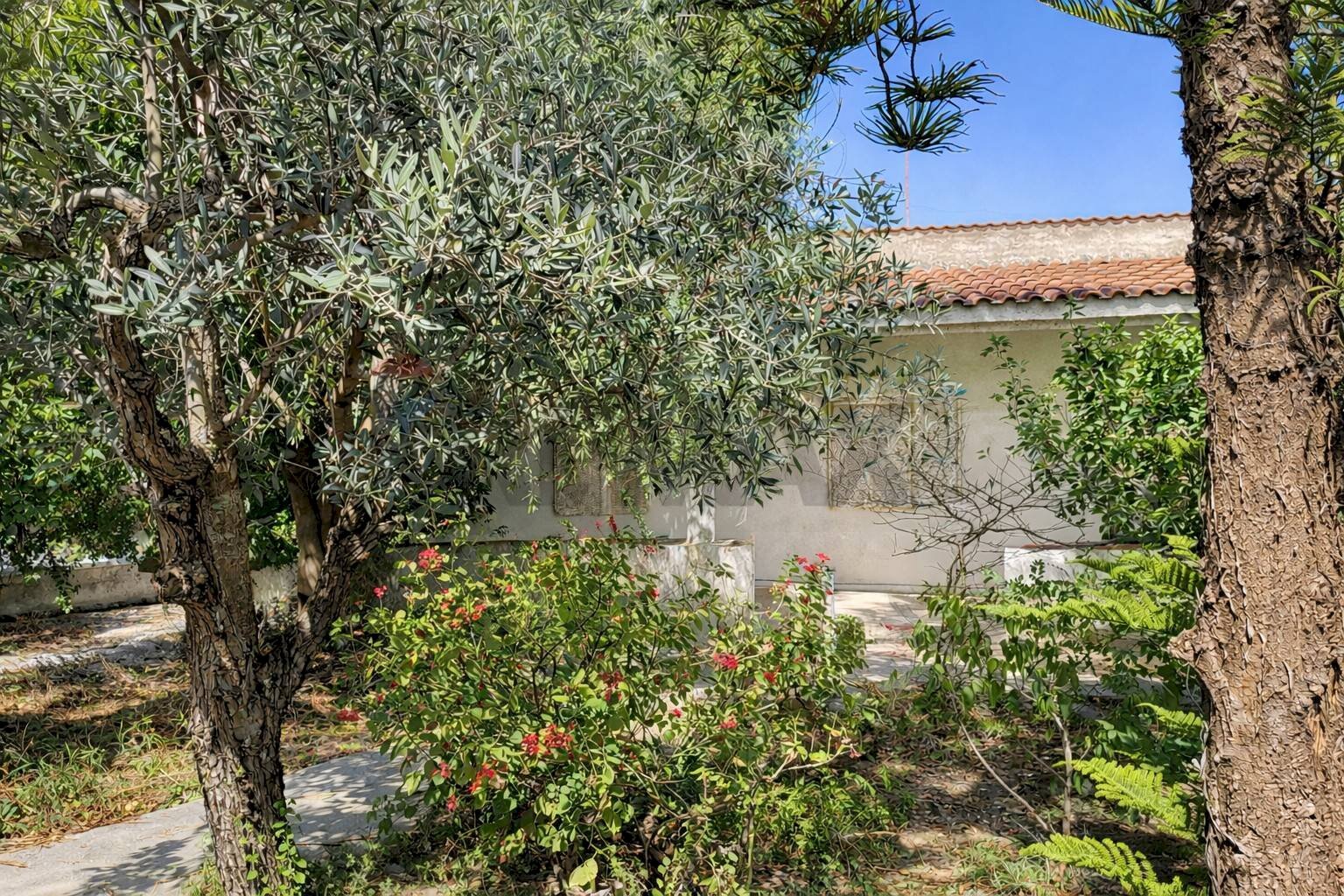 Giardino - Villa Via T.F. 146 est, Campobello di Mazara - foto 2