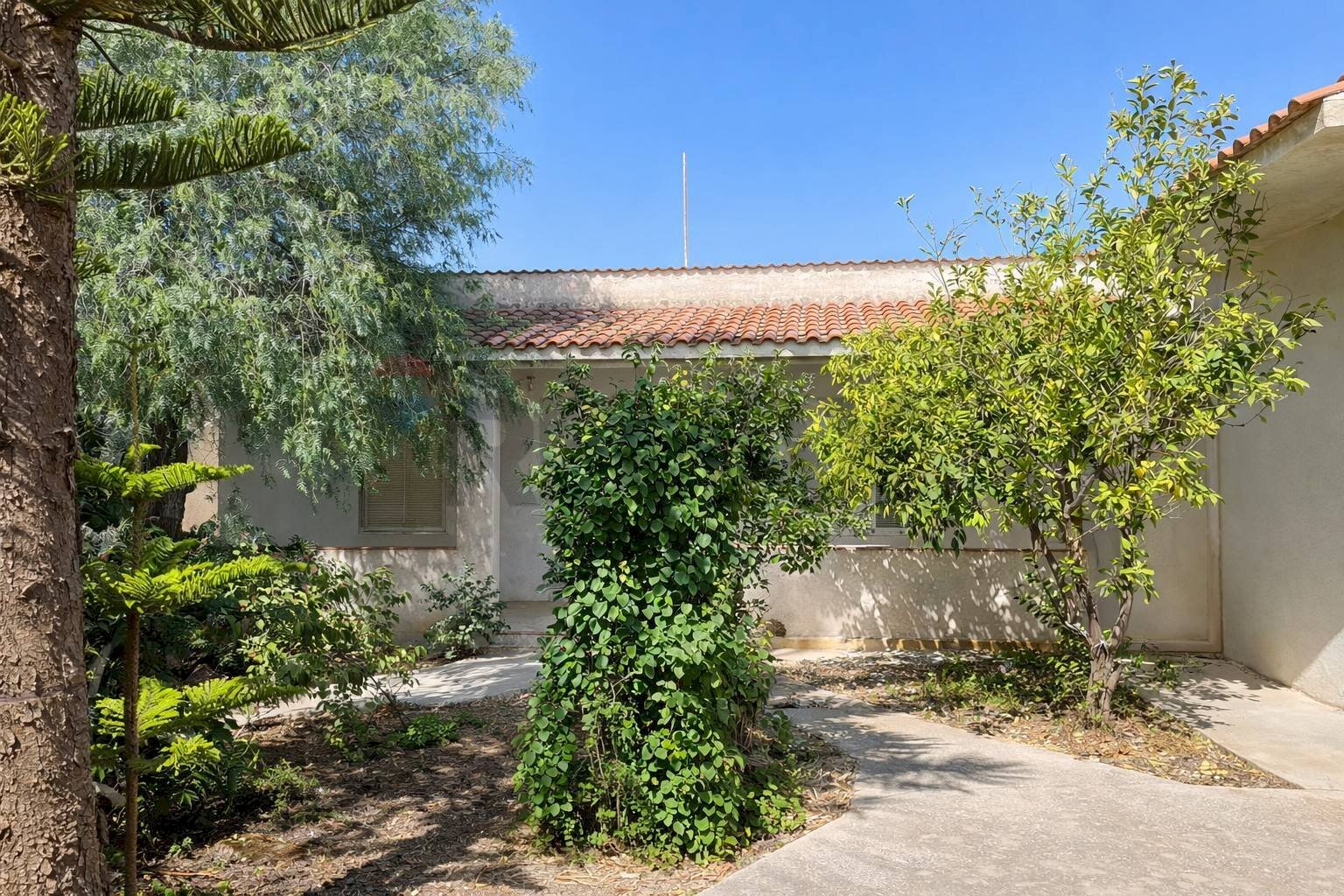 Giardino - Villa Via T.F. 146 est, Campobello di Mazara - foto 3