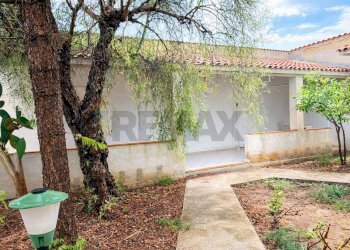 Giardino - Villa Via T.F. 146 est, Campobello di Mazara - foto 4