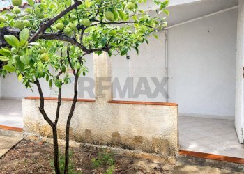 Giardino - Villa Via T.F. 146 est, Campobello di Mazara - foto 6