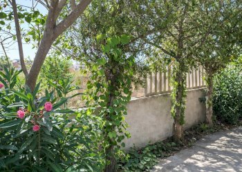 Giardino - Villa Via T.F. 146 est, Campobello di Mazara - foto 8