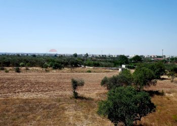 Vista delle montagne - Casa indipendente Spadolini
 
23, Capurso - foto 26
