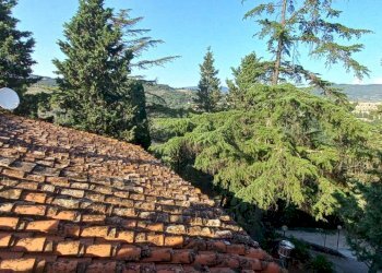 Foto 21 - Appartamento Via di Canonica
37, Sesto Fiorentino - foto 21