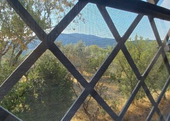 Foto 22 - Appartamento Via di Canonica
37, Sesto Fiorentino - foto 22