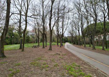 Contesto abitativo - Quadrilocale Rimini - foto 11