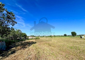 Terreno - Shed via Sarzana, Santarcangelo di Romagna - photo 1
