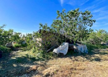 Terreno - Shed via Sarzana, Santarcangelo di Romagna - photo 6