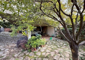Foto 12 - Casa semi indipendente Via, Magliano in Toscana - foto 12