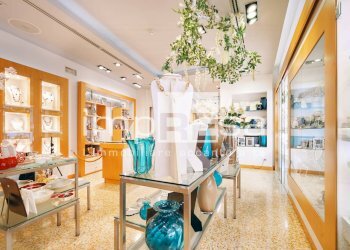 Foto 14 - Attività Commerciale Treviso - foto 14